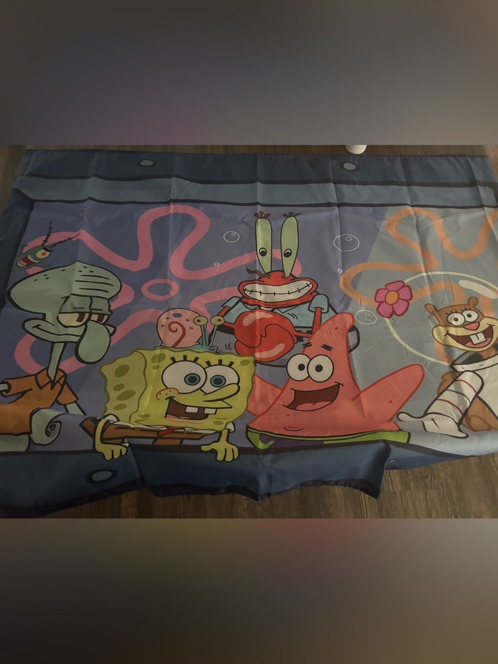 SpongeBob SquarePants Tapesty 57x33